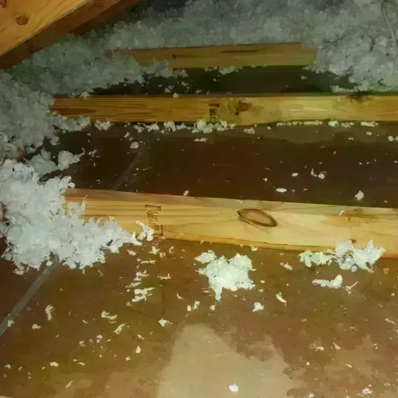 Attic Water Damage in Vacaville, CA