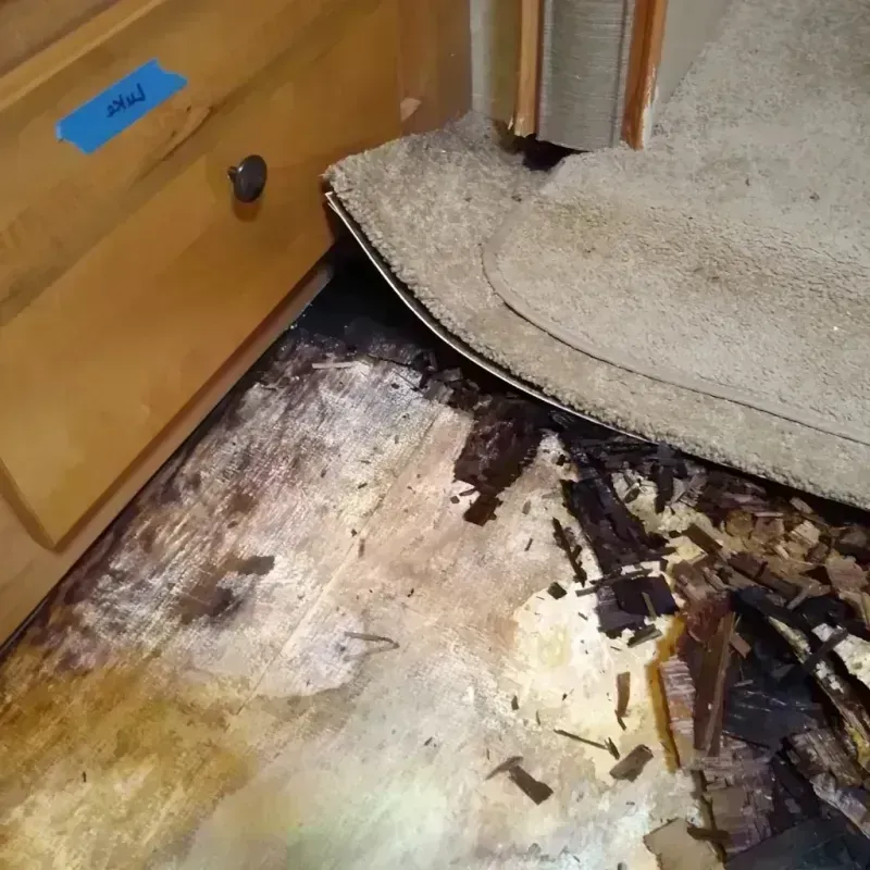 Wood Floor Water Damage in Vacaville, CA